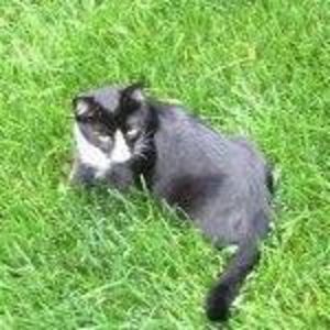 Meet your Posher, Mia